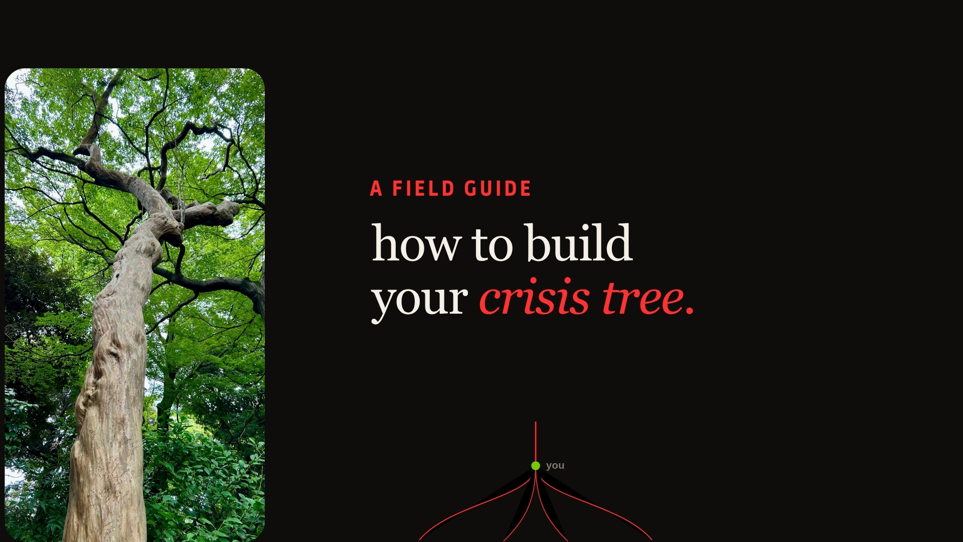 The Crisis Tree